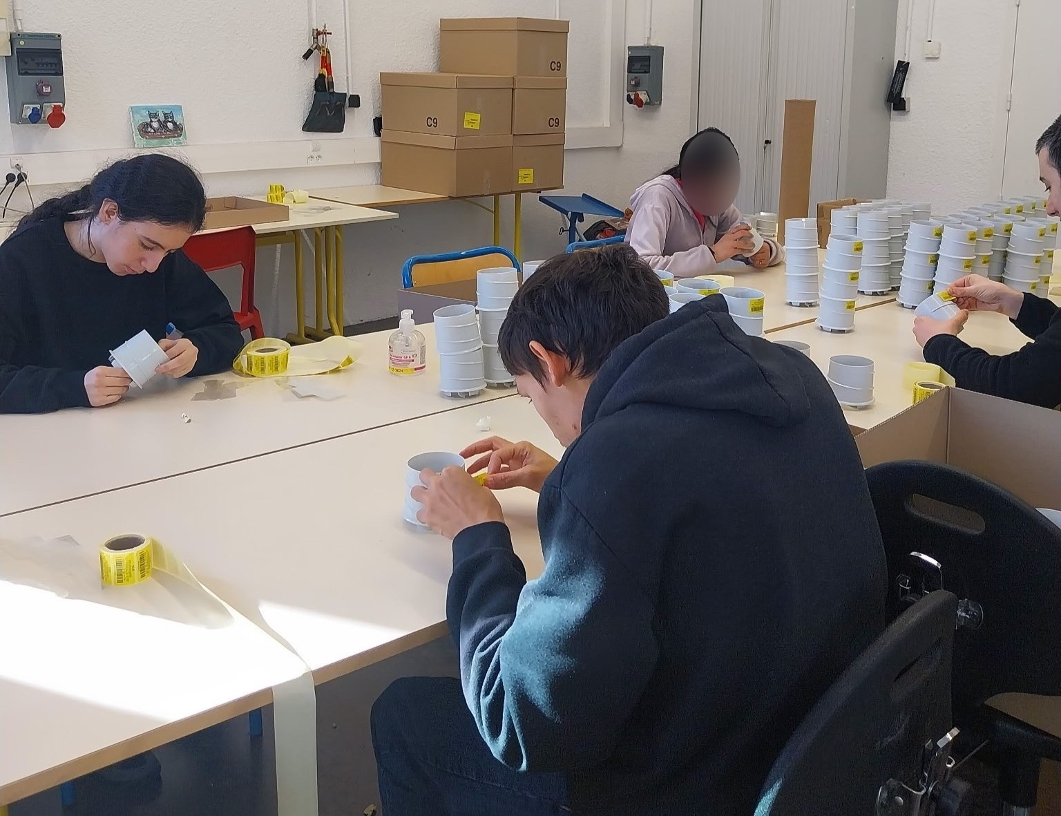 Immersion à l’ESAT de St Trivier de Courtes