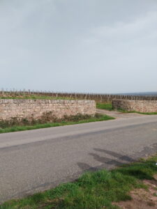 visite moulin SEES 2 (1)